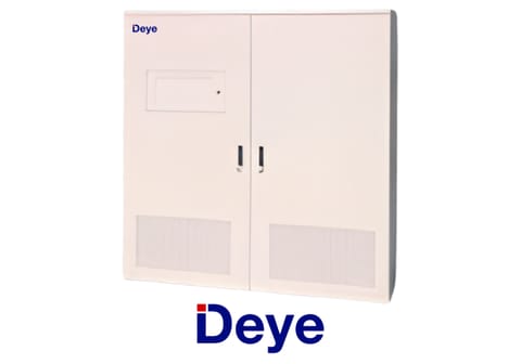 DEYE Moduł WS-TS1000-2A